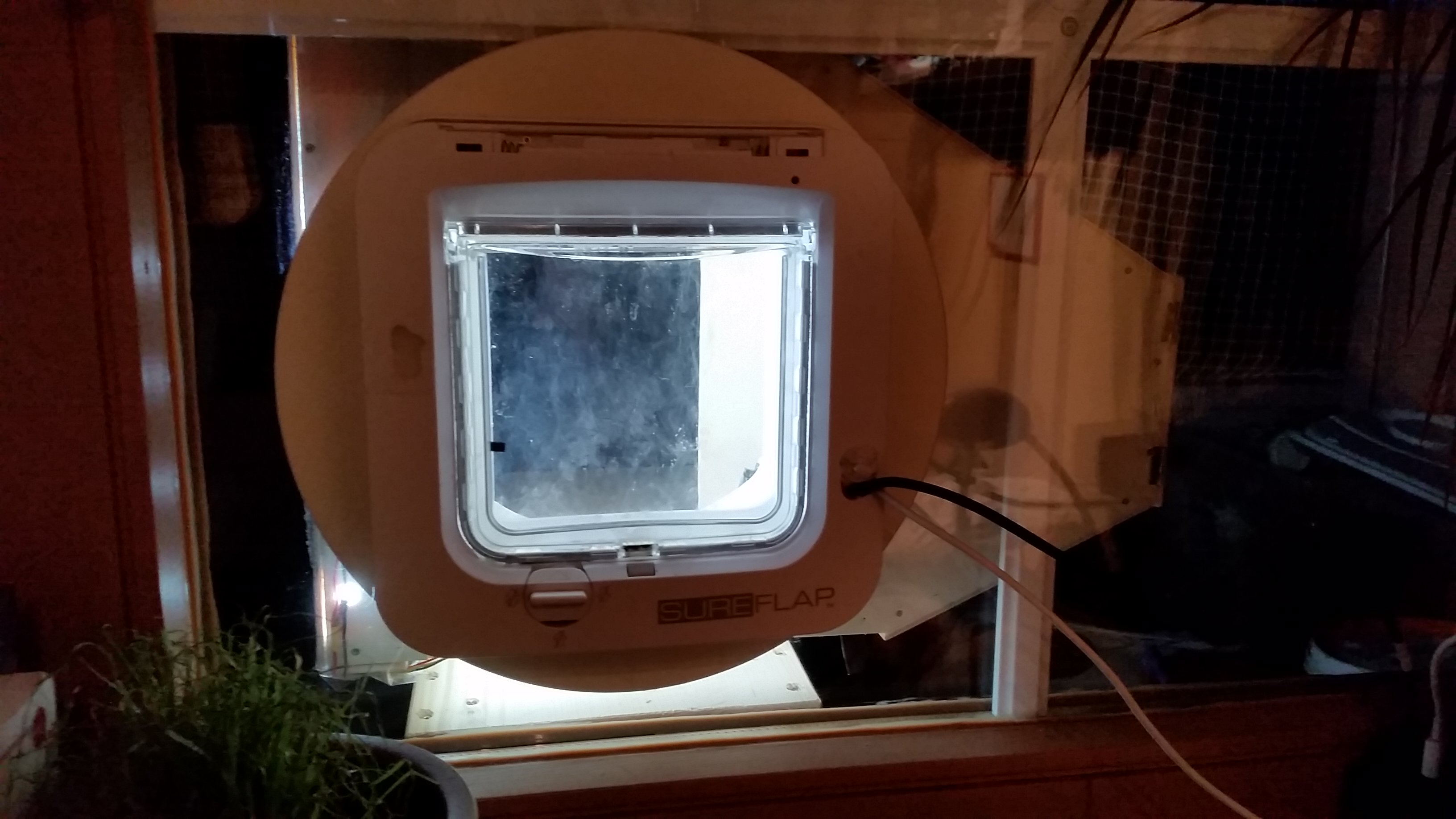 catflap seen from inside